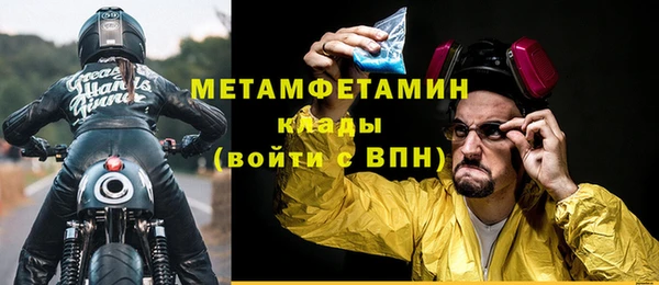 прущие грибы Михайлов