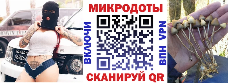 MEGA tor  Оленегорск  Псилоцибиновые грибы Cubensis 