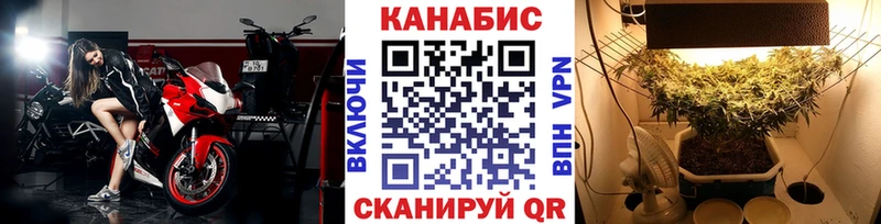 Конопля семена  дарк нет клад  Оленегорск  купить  цена 
